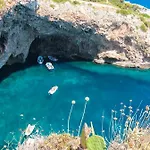 Oda ve Kahvaltı Anxa
