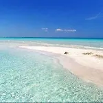 Anxa