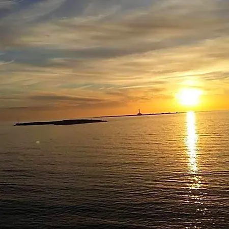 Anxa 3*